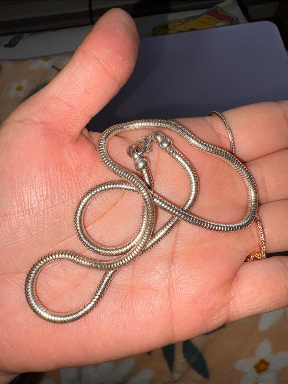 Sterling Silver Snake Chain Necklace - Silver